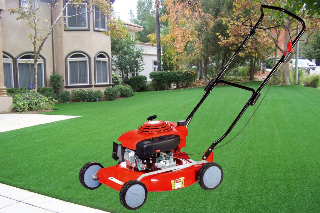 Small push lawn mower