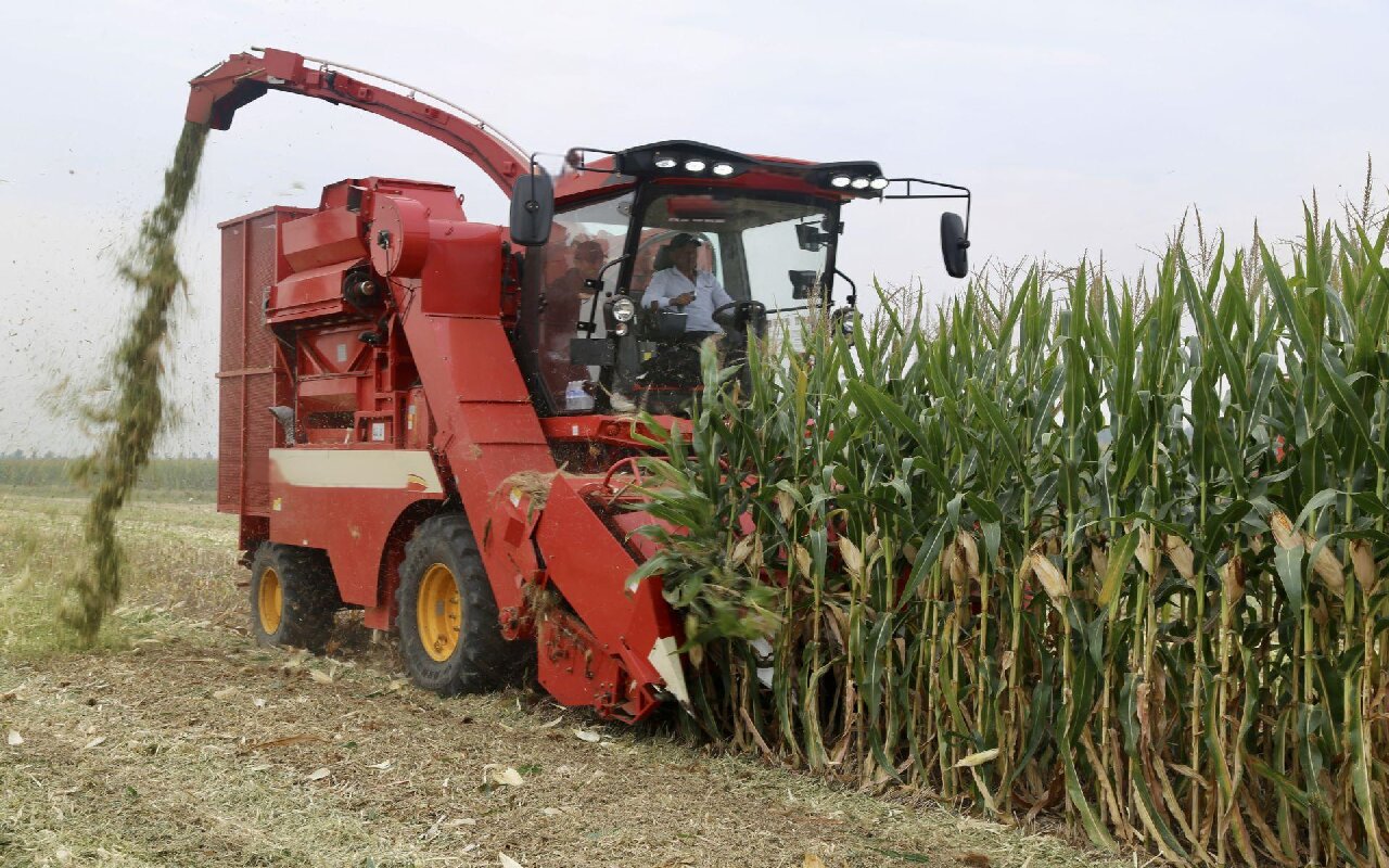 Corn Harvester: Revolutionizing Corn Harvesting for Efficiency and Productivity