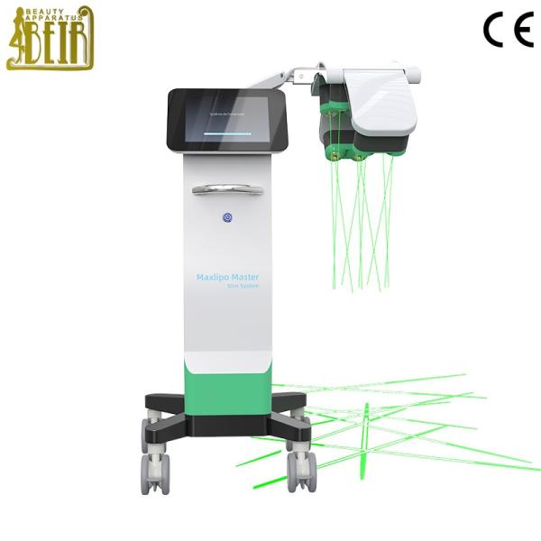 10D Maxlipo Master Laser Wound Healing Equipment