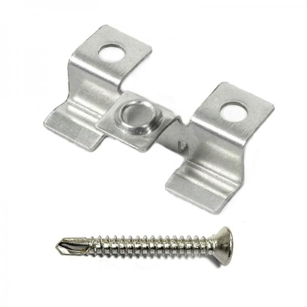 Stainless Steel Clip and Screw